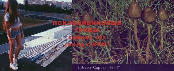 стаф Нея