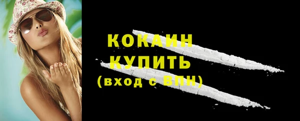 стаф Нея