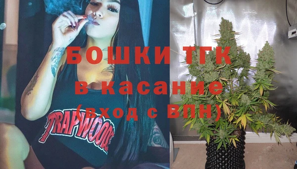 стаф Нея