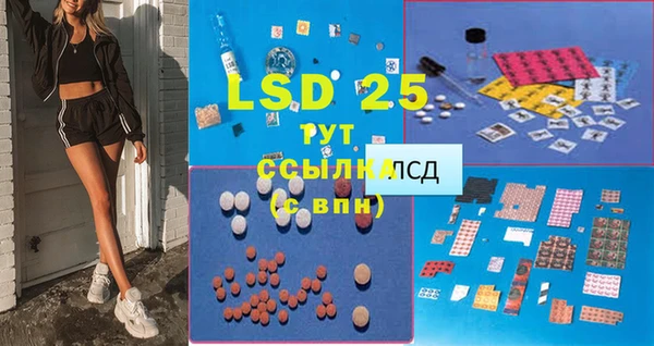 стаф Нея