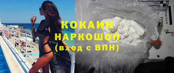 стаф Нея