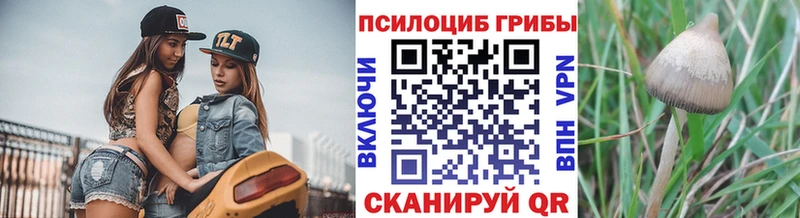 Псилоцибиновые грибы Cubensis  Шуя 